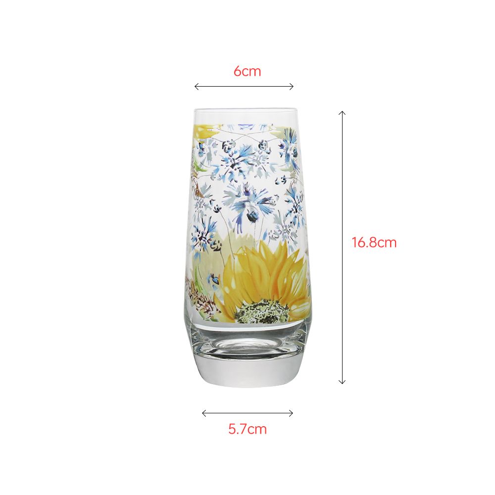 Mouth-blown clear crystal tumbler with customzied decals