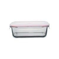 Resuable Borosilicate storage lunchbox Set