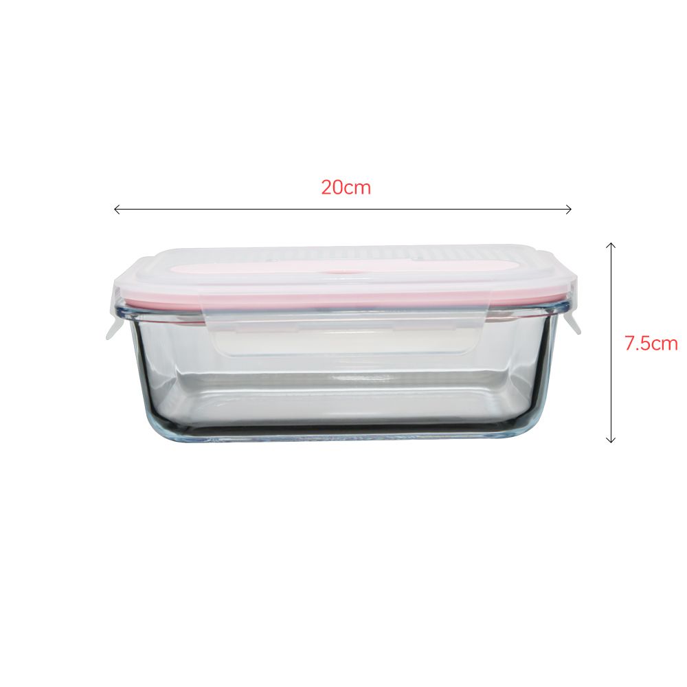 Resuable Borosilicate storage lunchbox Set