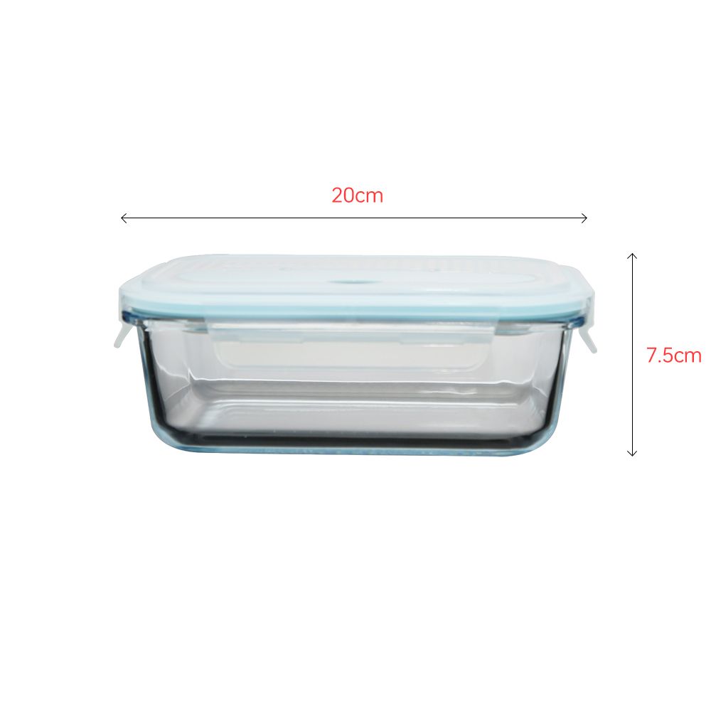 Resuable Borosilicate storage lunchbox Set