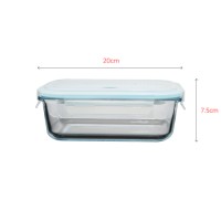 Resuable Borosilicate storage lunchbox Set